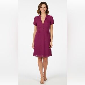 Old Navy Purple Polka Dot Fit & Flare Dress - Side Zip V-Neck Collar - Size M